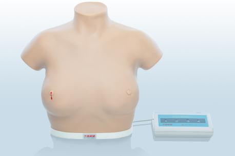 電子乳腺癌觸診、視診訓(xùn)練模型